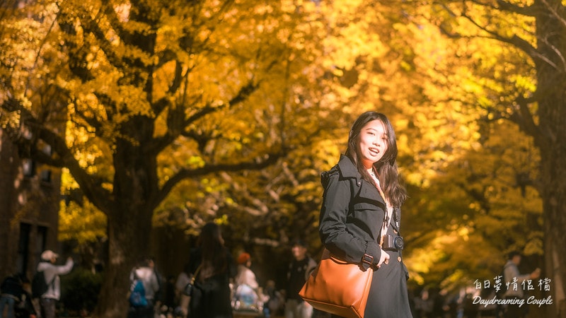 走進日本最高學府的金色殿堂！東京大學銀杏：兼具書卷氣與史詩感的秋日攝影之旅