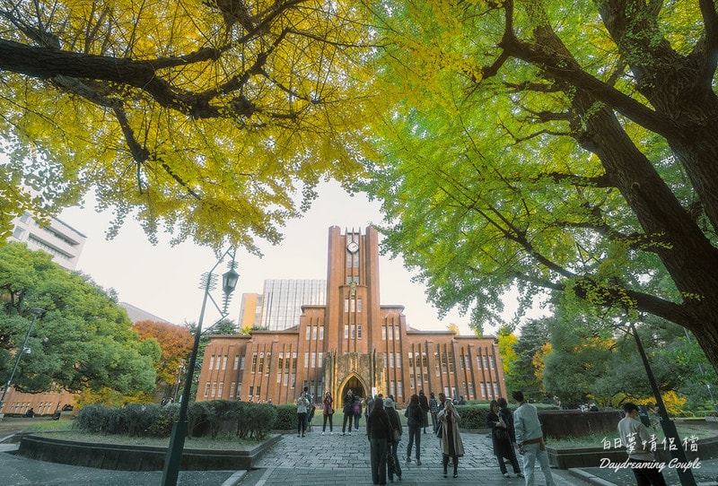 走進日本最高學府的金色殿堂！東京大學銀杏：兼具書卷氣與史詩感的秋日攝影之旅