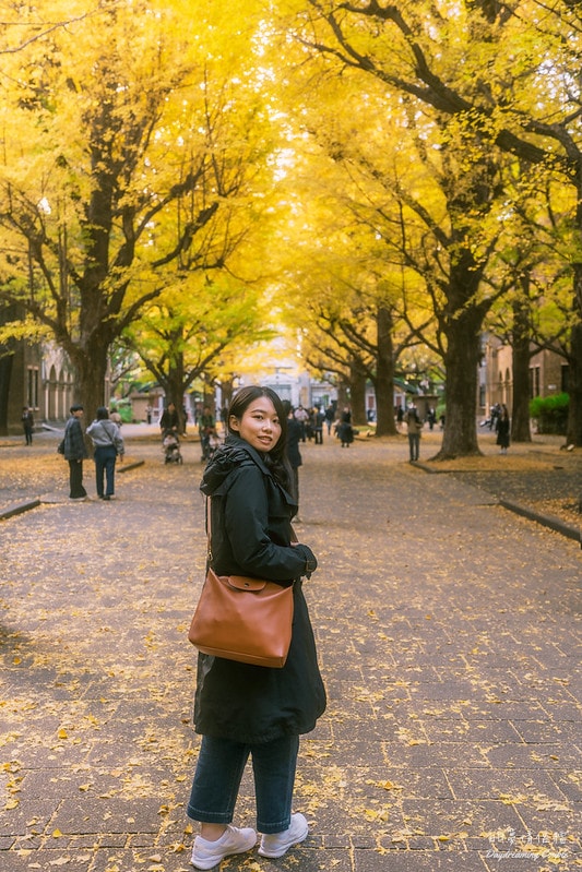 走進日本最高學府的金色殿堂！東京大學銀杏：兼具書卷氣與史詩感的秋日攝影之旅