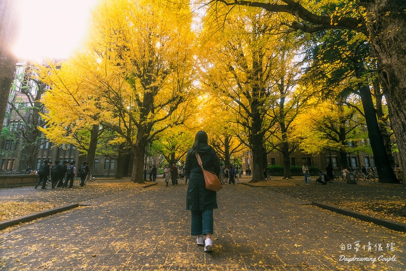 走進日本最高學府的金色殿堂！東京大學銀杏：兼具書卷氣與史詩感的秋日攝影之旅