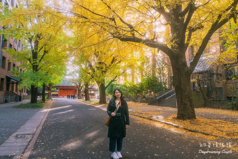 走進日本最高學府的金色殿堂！東京大學銀杏：兼具書卷氣與史詩感的秋日攝影之旅