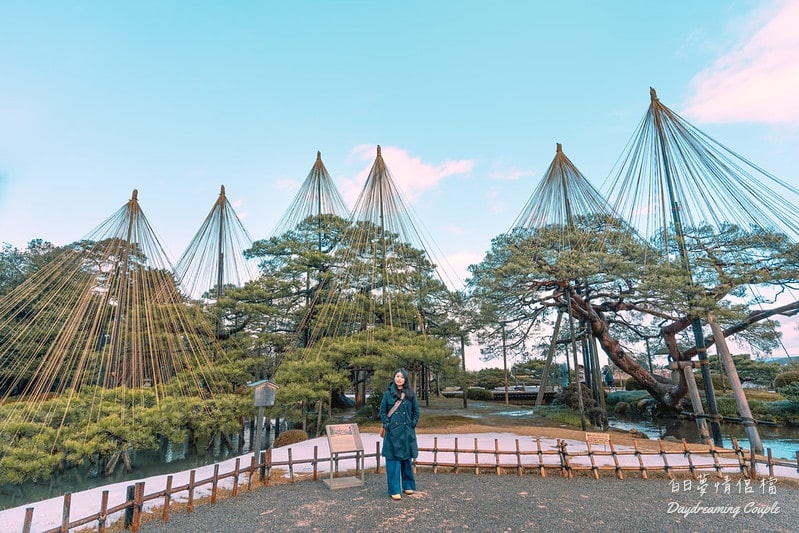 金澤・兼六園・氣勢與細膩並存！唐崎松與雪吊冬姿