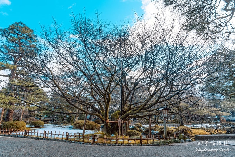 金澤・兼六園・清晨微寒裡的私房時光：屬於我們的金澤記憶散策