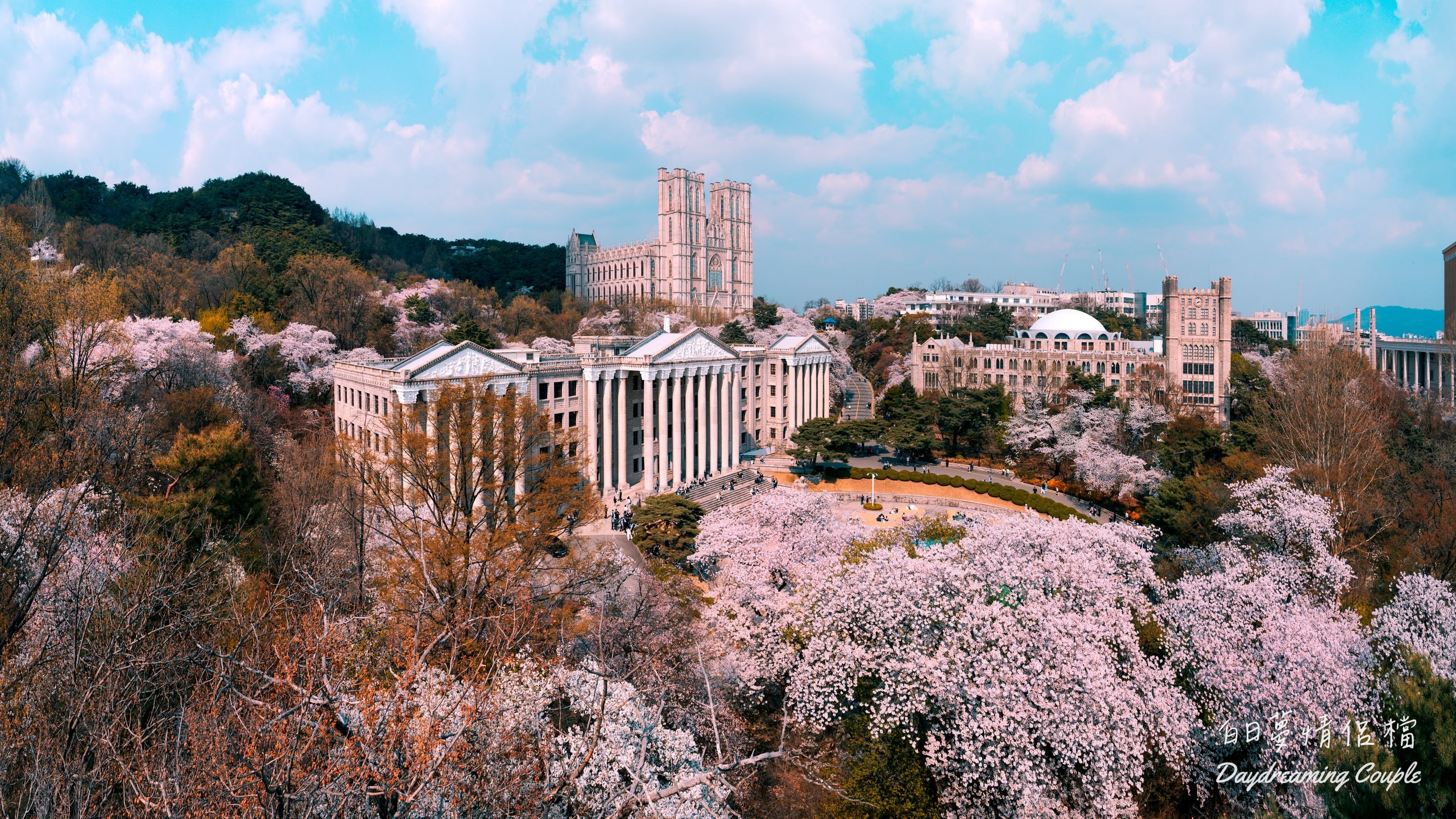 【首爾賞櫻】慶熙大學攻略：最美哥德式校園建築與櫻花攝影全集