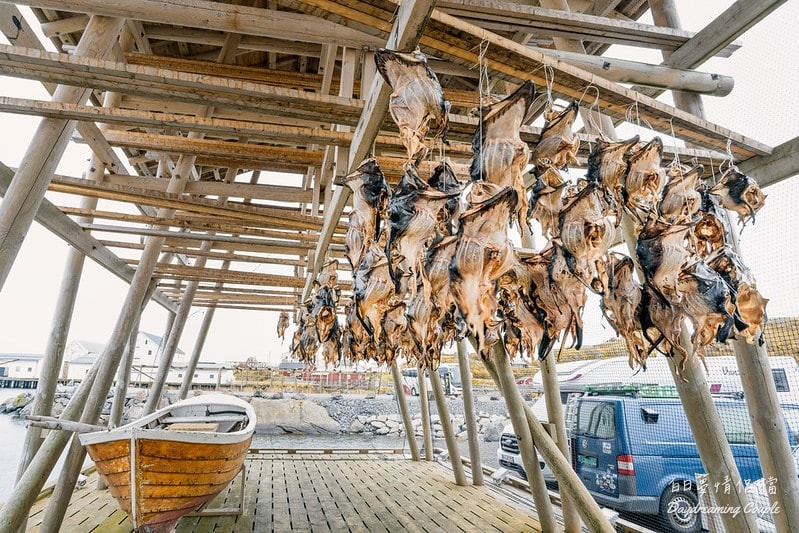 【挪威羅浮敦群島】薩克利索伊（Sakrisøy）必訪絕景與在地美食全攻略：夢幻黃色小屋與海風中的鮭魚香！