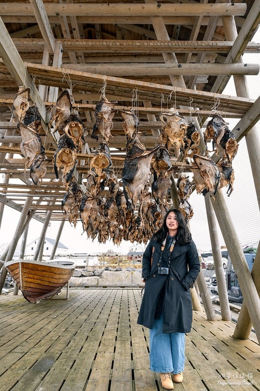 【挪威羅浮敦群島】薩克利索伊（Sakrisøy）必訪絕景與在地美食全攻略：夢幻黃色小屋與海風中的鮭魚香！