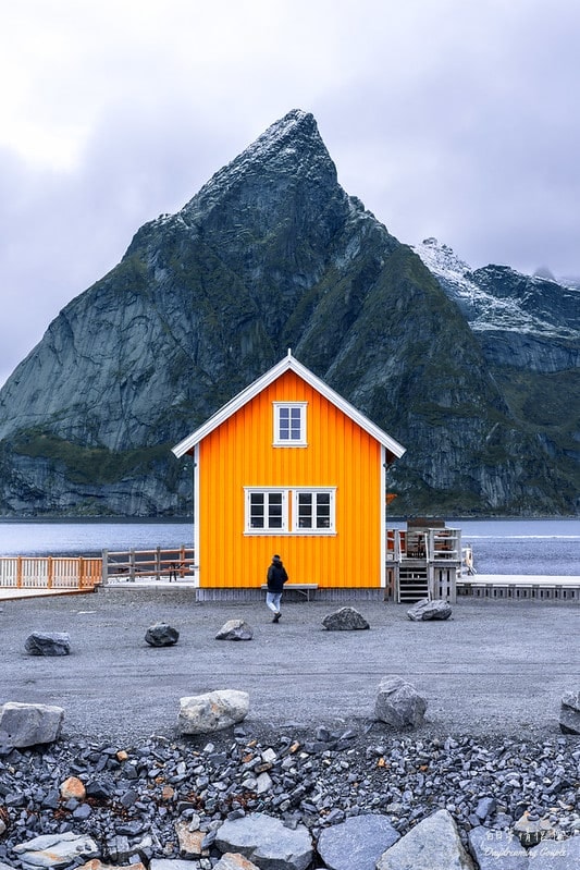 【挪威羅浮敦群島】薩克利索伊（Sakrisøy）必訪絕景與在地美食全攻略：夢幻黃色小屋與海風中的鮭魚香！
